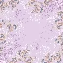 FDS0052 (7).webp