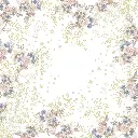 FDS0051 (1).webp